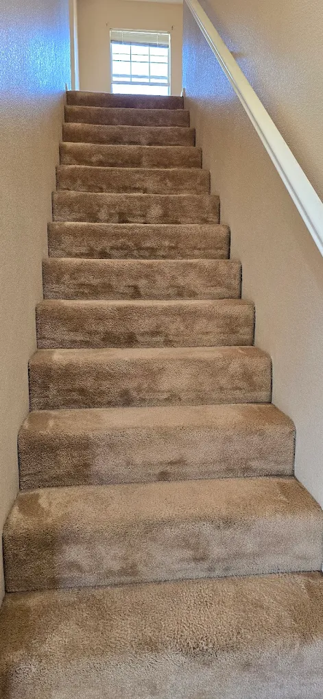 Commercial Carpet Cleaning services by Dirt Doctor Carpet Cleaning in Albuquerque, NM - trusted local carpet cleaning company