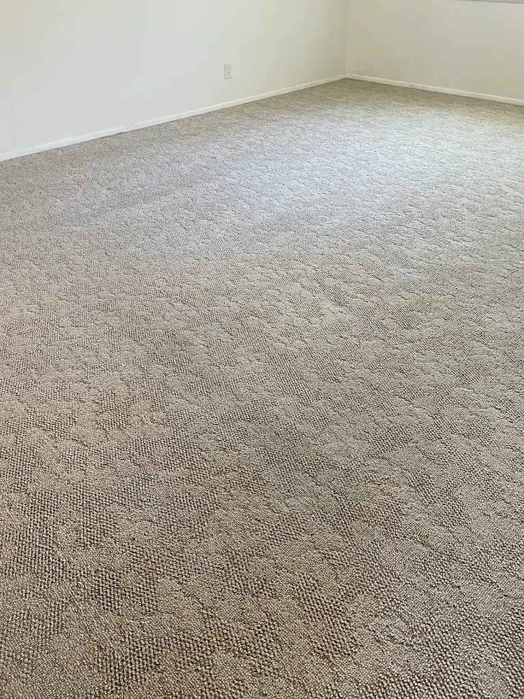 Pet Odor & Stain Removal service for Downtown Albuquerque, NM homeowners by Dirt Doctor Carpet Cleaning - professional carpet cleaning in Downtown Albuquerque
