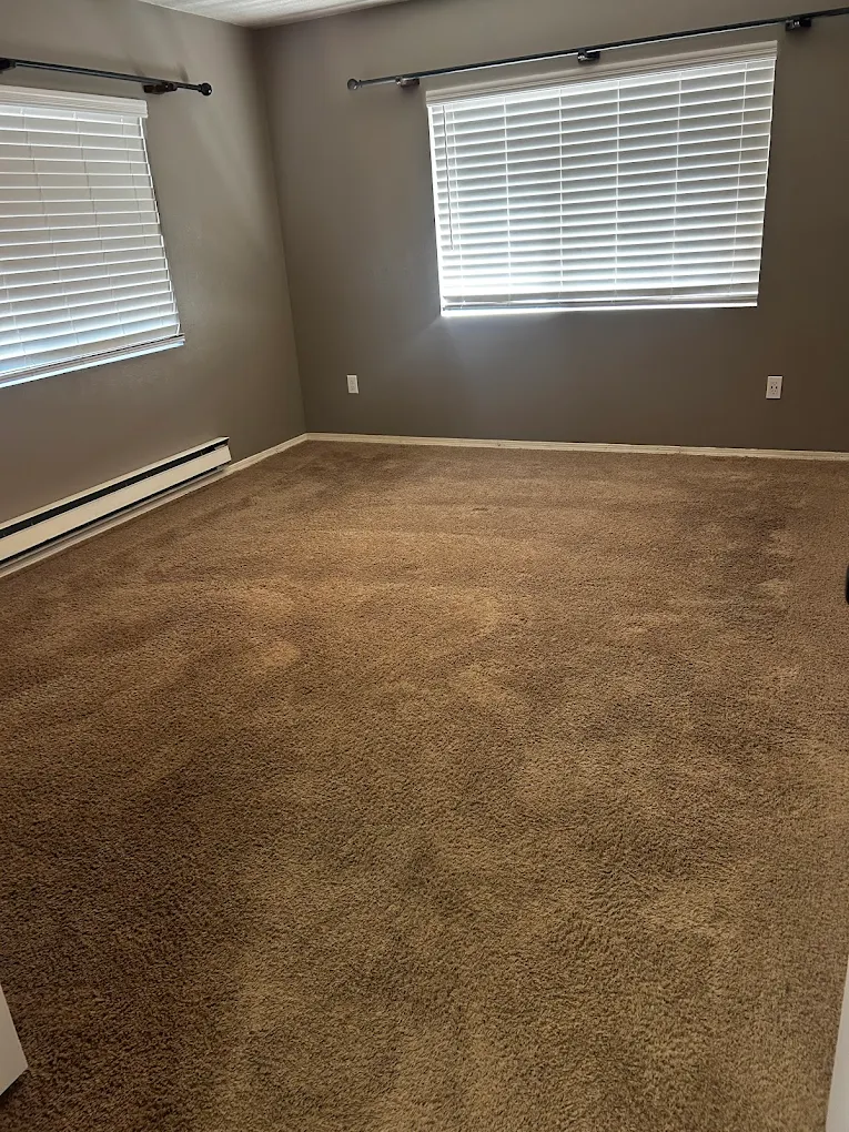 Carpet Sanitization & Disinfection service for Downtown Albuquerque, NM homeowners by Dirt Doctor Carpet Cleaning - professional carpet cleaning in Downtown Albuquerque