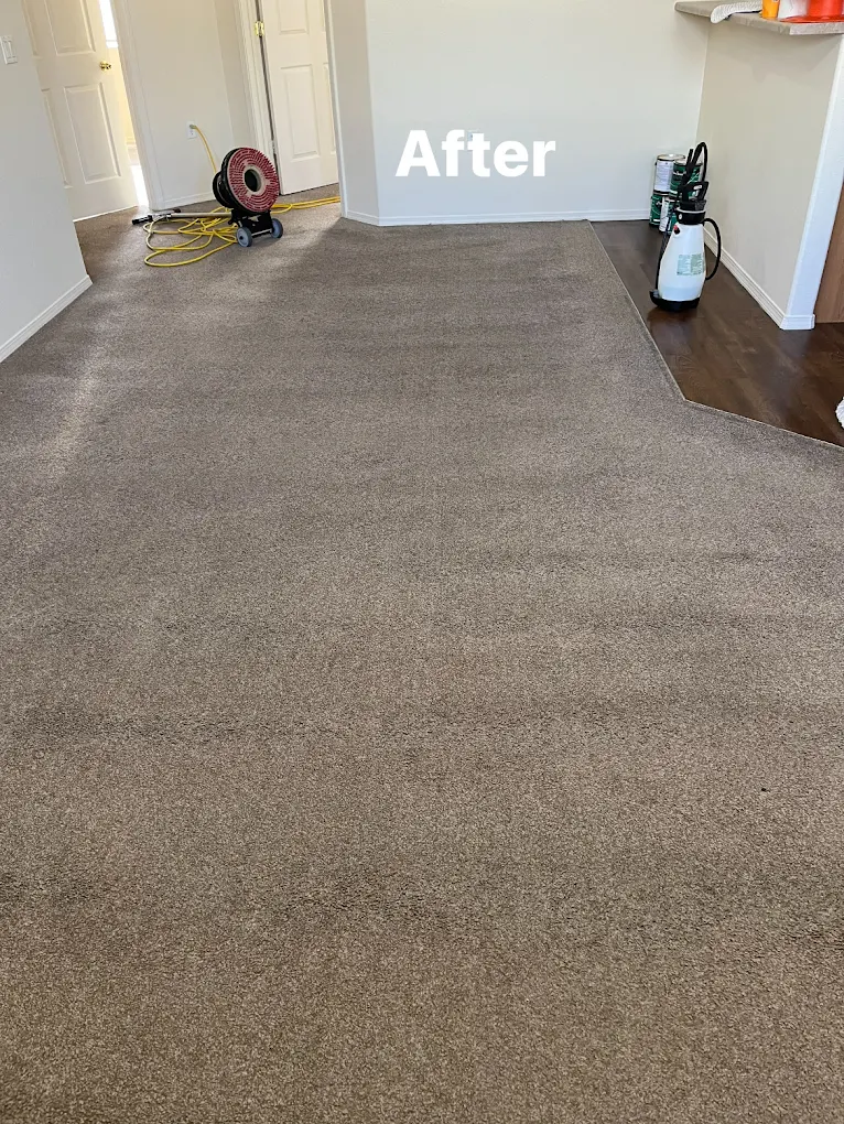 Dirt Doctor Carpet Cleaning serving all Downtown Albuquerque, NM neighborhoods with professional carpet cleaning services