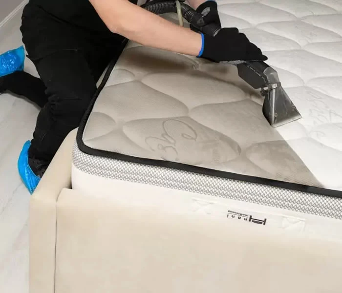 Dirt Doctor Carpet Cleaning team performing carpet protectant treatment for Albuquerque homeowners - top-rated carpet cleaning service