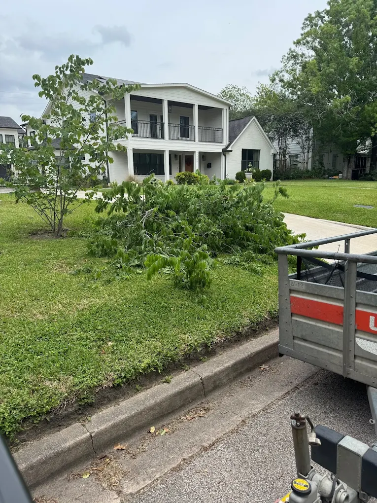 Professional Home Cleanout and Decluttering service by Finesse the Freight in Houston, TX - licensed and insured junk removal contractor