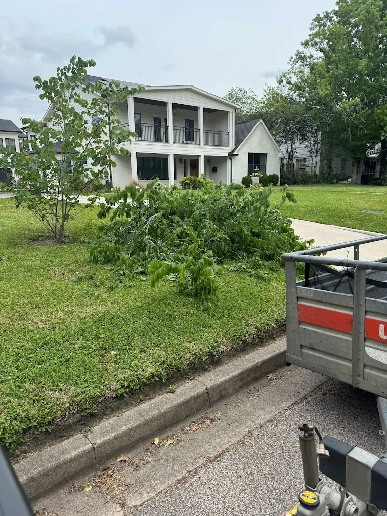 Professional Business Equipment Disposal service by Finesse the Freight in Houston, TX - licensed and insured junk removal contractor