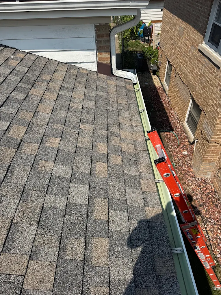 ${c.businessName} providing professional ${c.niche.toLowerCase()} services in Forest View, ${c.st} - trusted local contractor