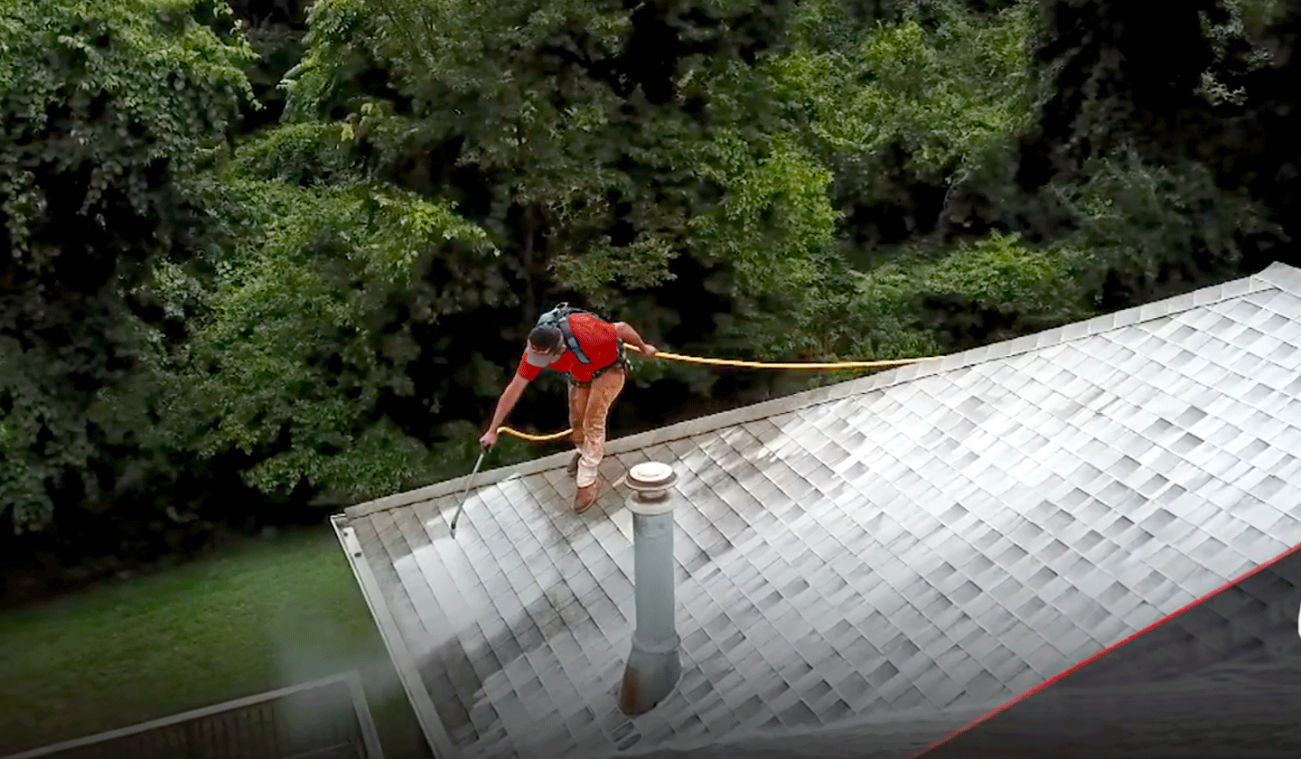 Moss & Algae Removal Inwood WV