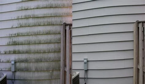 Commercial Property Services Mentor