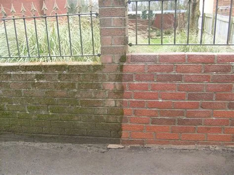 Fleet Vehicle Washing Mentor OH